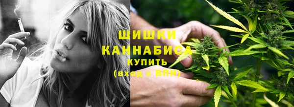 соль ск Кодинск
