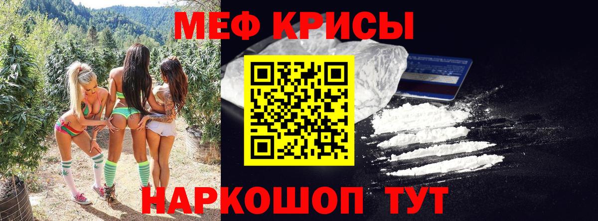 МЕФ  Великий Новгород