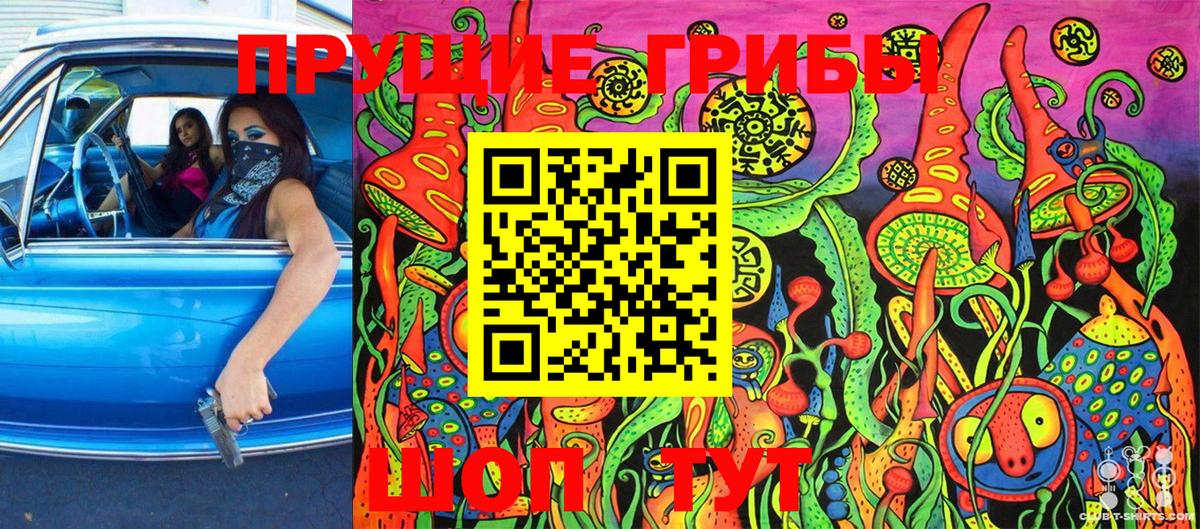 Псилоцибиновые грибы GOLDEN TEACHER Великий Новгород