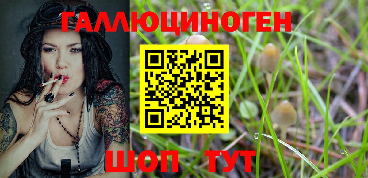 Псилоцибиновые грибы MAGIC MUSHROOMS  Галлюциногенные грибы Psilocybe  Великий Новгород 